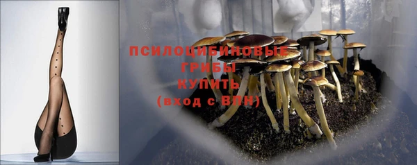 эйфоретик Армянск
