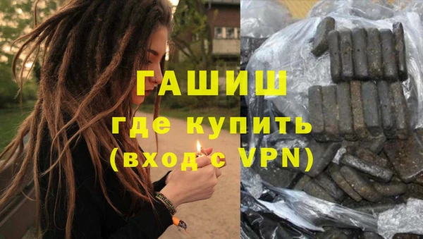 индика Абаза