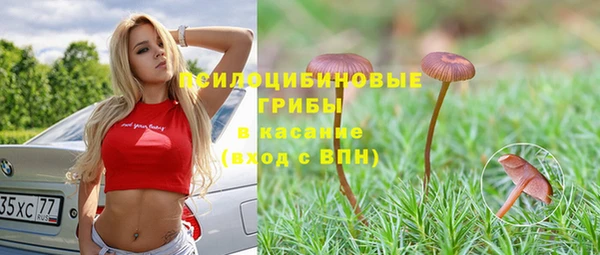 МДПВ Арсеньев