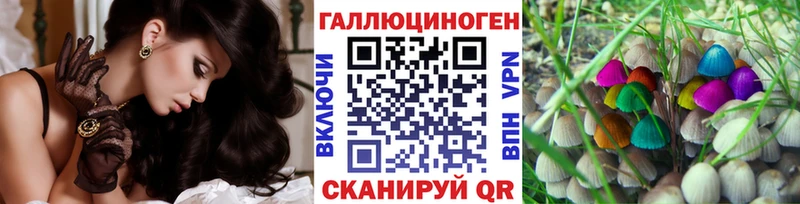 даркнет сайт  Дзержинск  kraken сайт  Галлюциногенные грибы мицелий 
