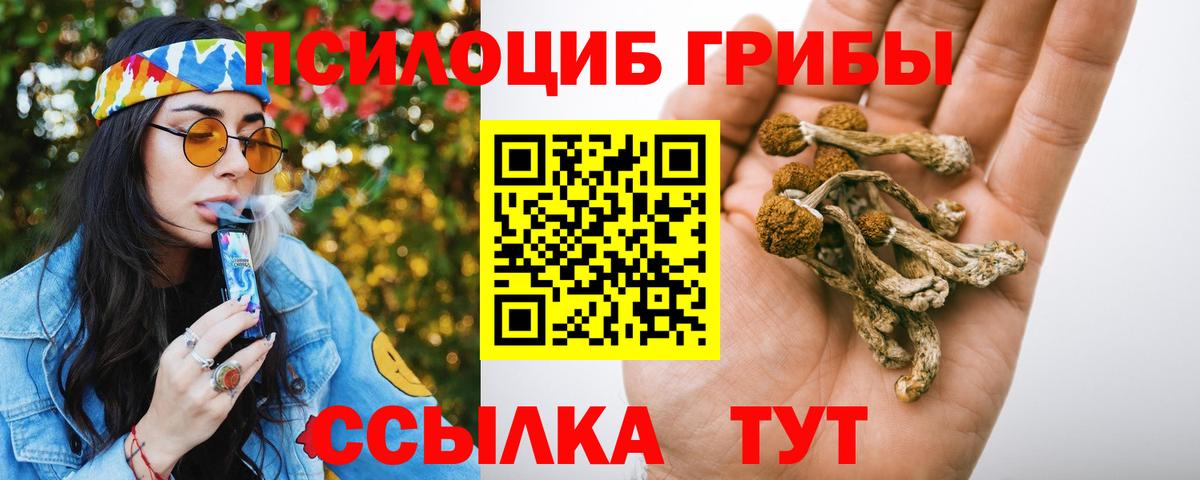 Дзержинск  Галлюциногенные грибы GOLDEN TEACHER  Вход с VPN  Галлюциногенные грибы Psilocybe 